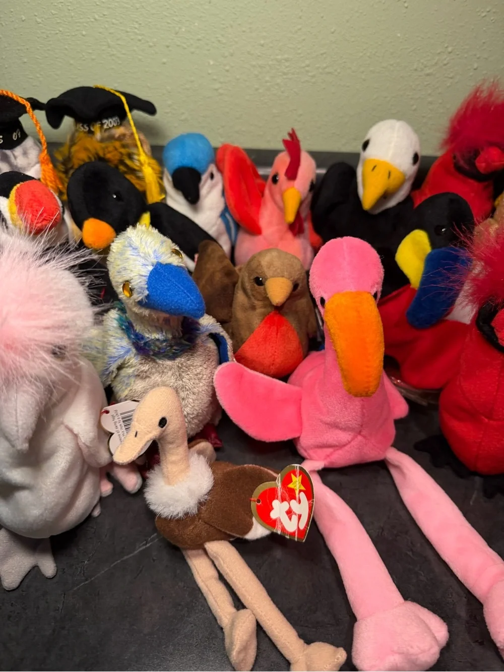 Ty Beanie Babies Bird and Graduation Owl Collection